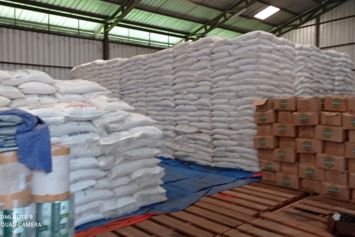 Produksi beras di Lebak Januari-September surplus 164.484 ton