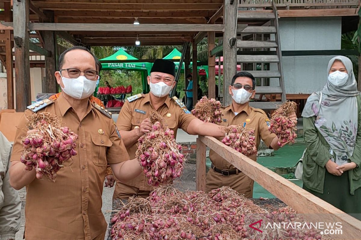 Pemkab Bangka Tengah terbitkan sertifikat registrasi kebun hortikultura