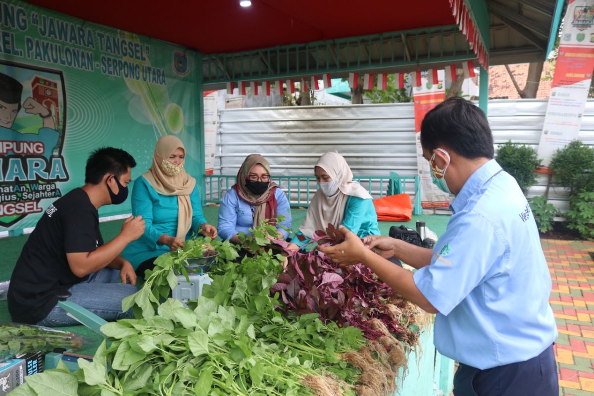 Wilayah pertama di Tangsel, kampung binaan IKPP Tangerang raih penghargaan dari KLHK