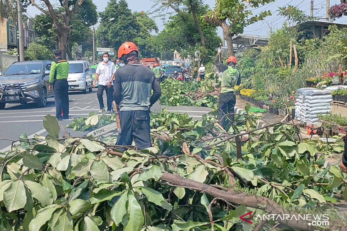Wali Kota Bogor ingatkan jajarannya siaga antisipasi cuaca ekstrem