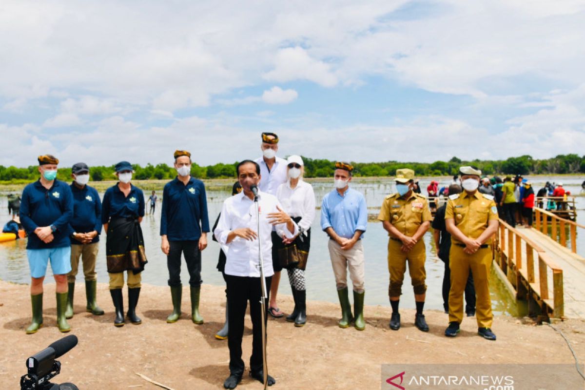 Presiden Jokowi targetkan rehabilitasi 600 ribu hektare hutan mangrove Indonesia