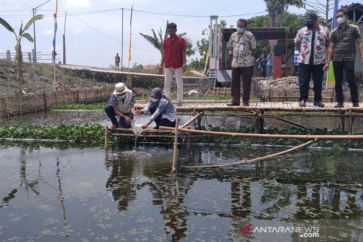 Undip bantu ubah selokan kumuh di Kudus jadi kolam ikan