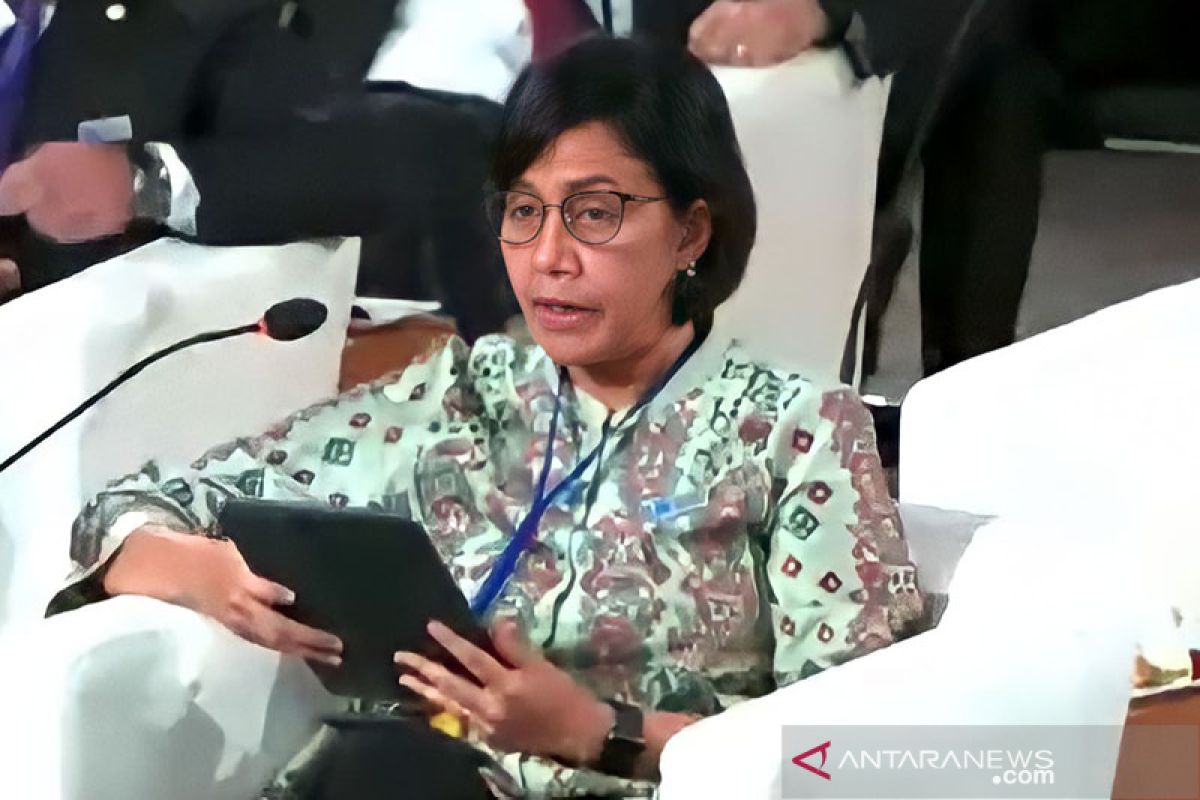 Sri Mulyani ungkap biaya atasi perubahan iklim, capai 479 miliar dolar