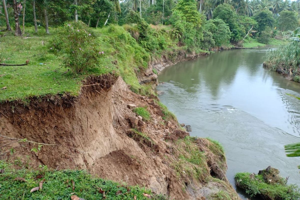 Upaya Pemkot Pariaman, mengatasi abrasi Batang Mangor yang ancam rumah dan lahan pertanian