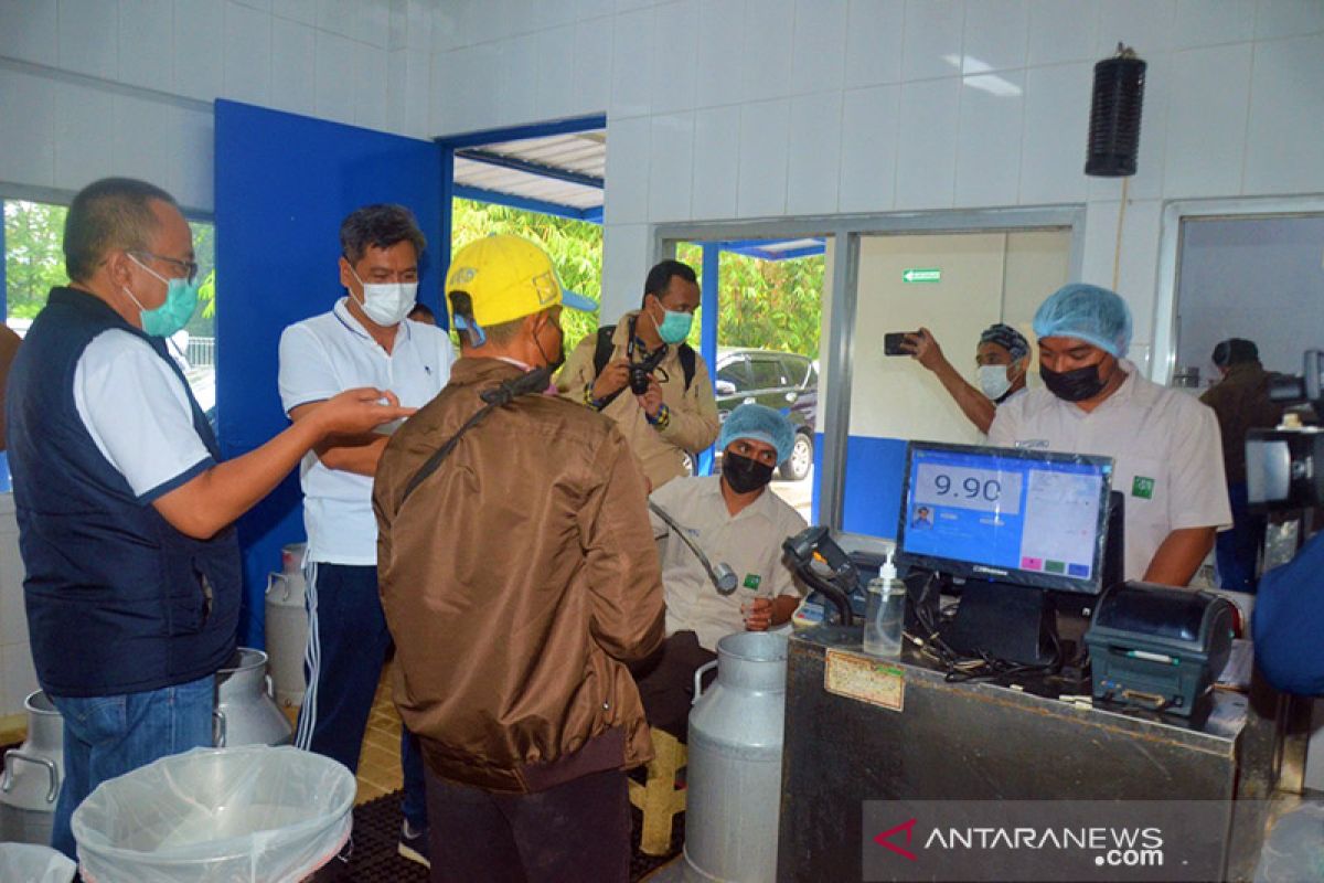 Bantu peternak, Kemenperin beri stimulus bangun Milk Collecting Point