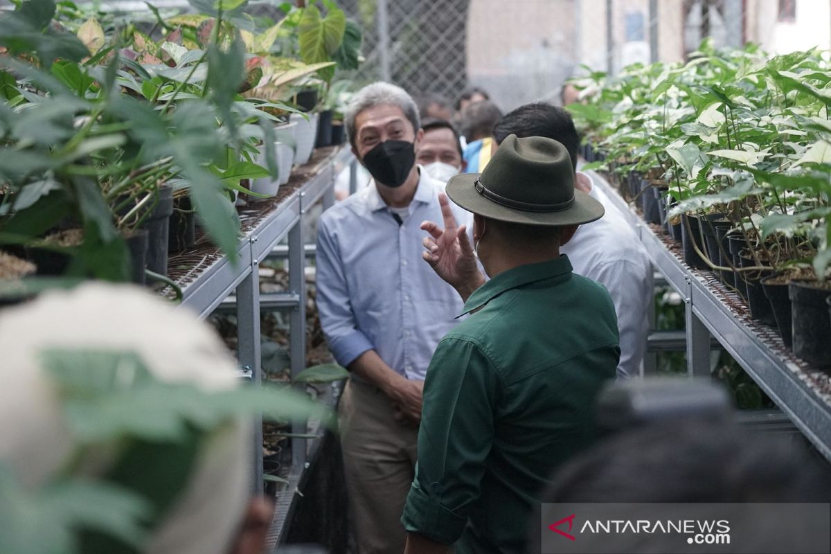 Wakil Wali Kota Bogor dorong tanaman hias bisa tingkatkan ekonomi petani