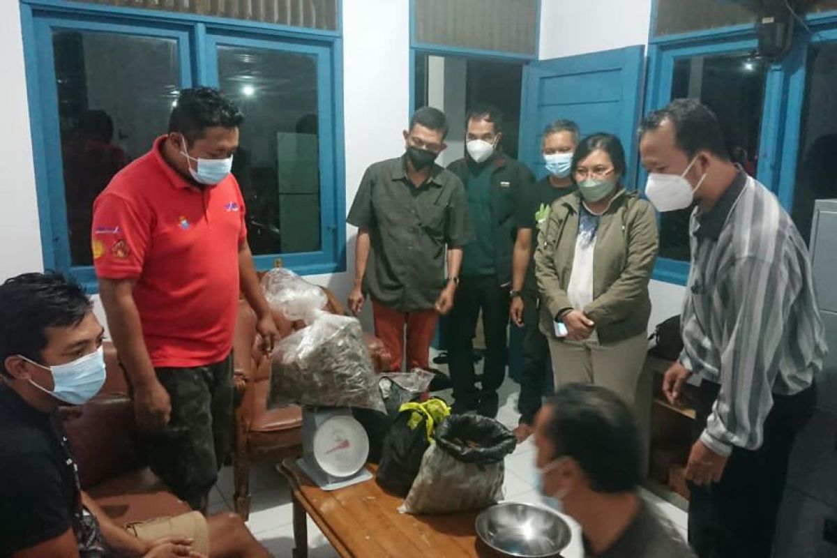 Tim Gakkum KLHK tangkap pedagang sisik trenggiling di Sekadau Kalimantan Barat