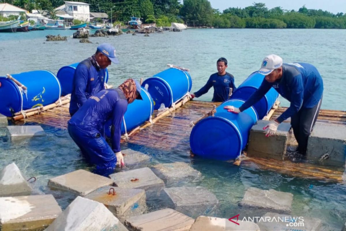 1.000 kubus masif dipasang guna memecah ombak di Pulau Sabira