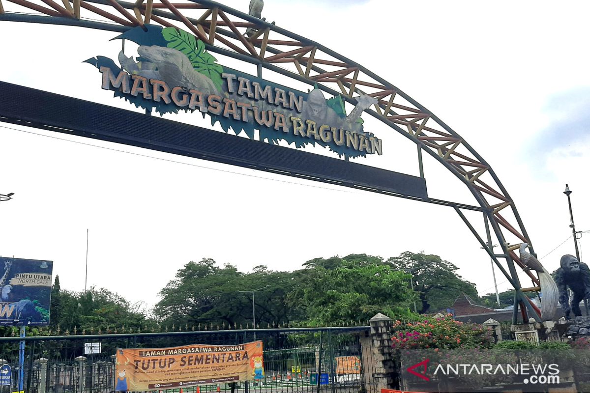 Ragunan siap sambut pengunjung pada Sabtu 23 Oktober