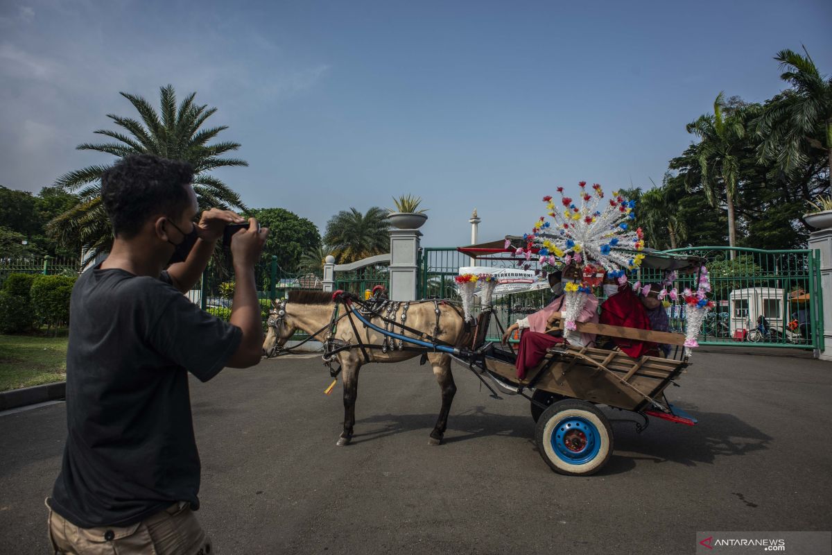 Pemkot Jakpus segera larang delman di Kawasan Monas