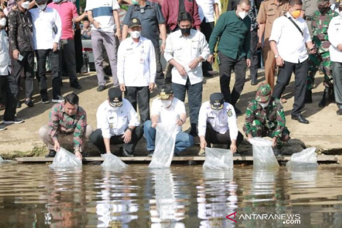 Gubri tebar 6.000 benih ikan patin