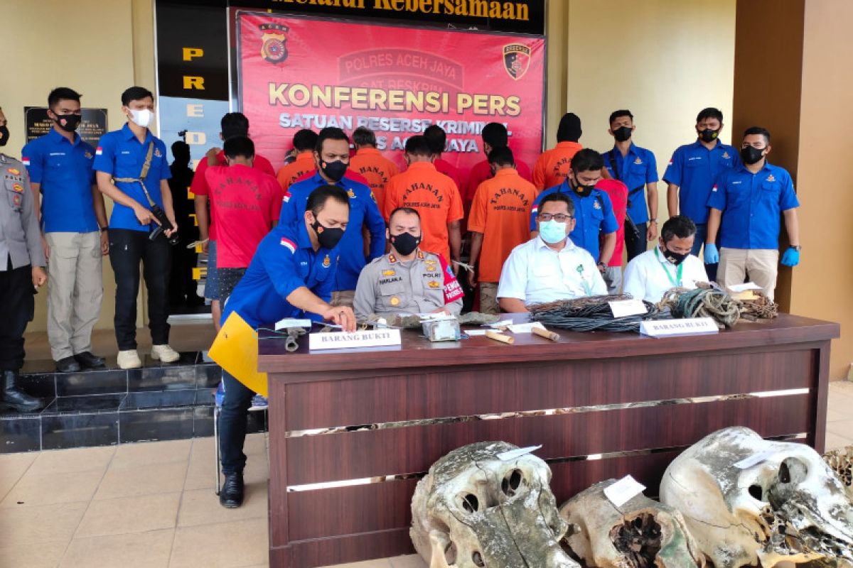 Kejaksaan Negeri Aceh Jaya terima berkas pembunuh lima gajah