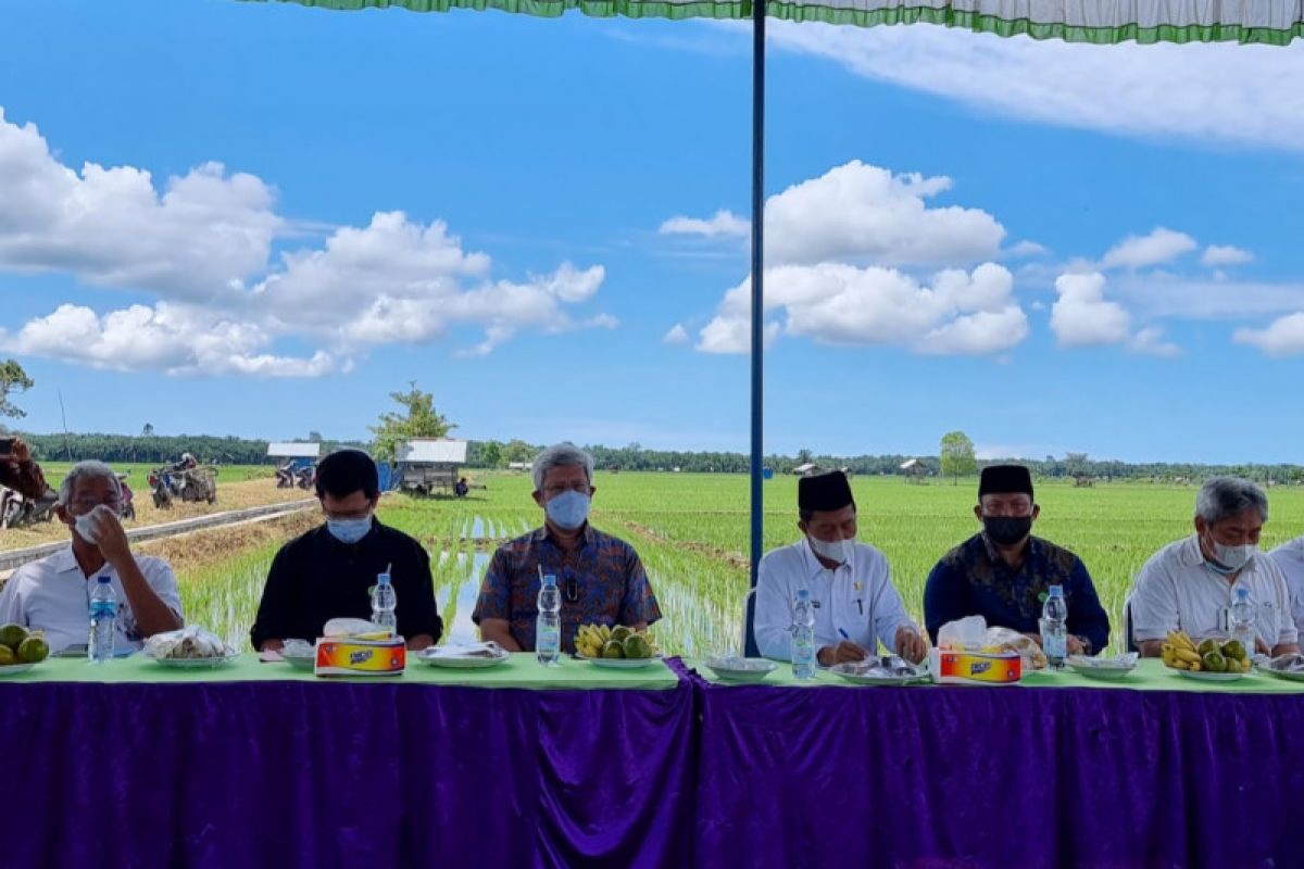 West Sumatra farmers' inputs on biofortified rice help government: KSP