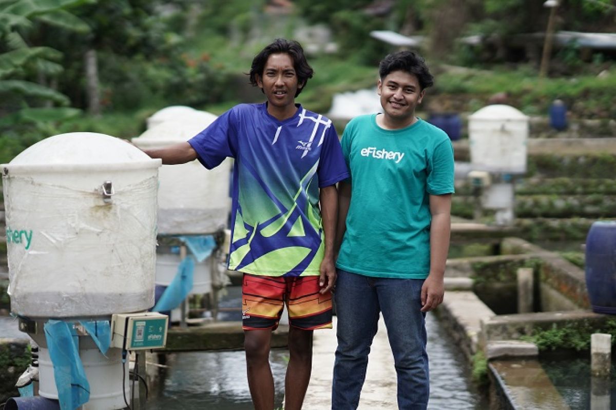 Startup eFishery gandeng pembudidaya ikan dorong ketahanan pangan