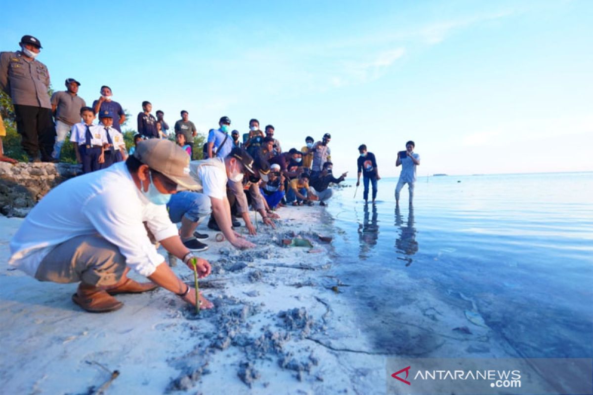 Bupati Pangkep tanam 2.000 mangrove di Pulau Sapuka