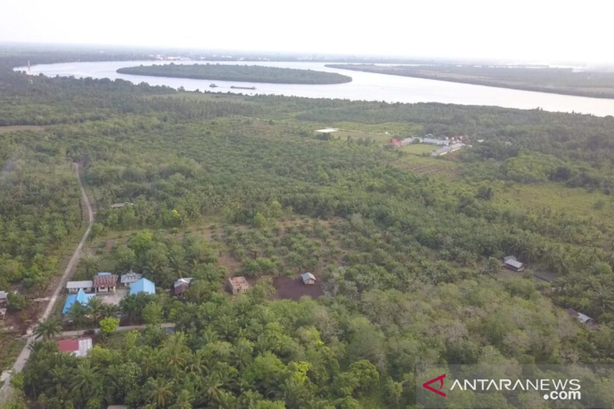 Pantai Beting dan Hutan Mangrov Tanjung Layang, wisata bahari tersembunyi di Siak