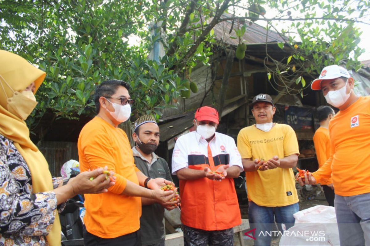 Anggota DPR borong cabai petani saat reses