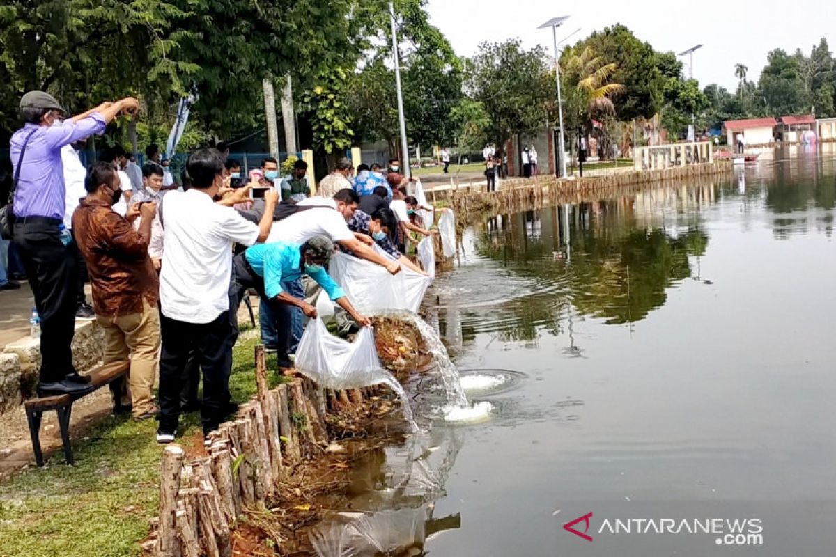 Menteri KKP tebar 100 ribu benih ikan di Situ Lebak Wangi Desa Wisata Pamegarsari (video)