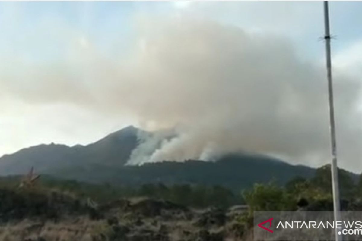 Lereng gunung Batur di Gianyar kembali terbakar