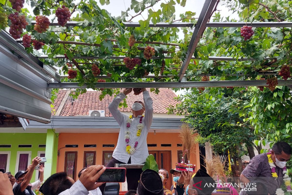 Pemkot Jaktim dorong warga menggiatkan pertanian kota