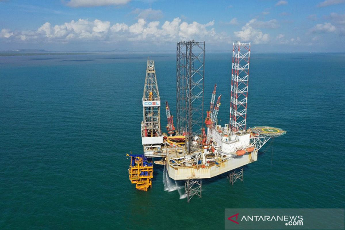 Indonesia harus tingkatkan produksi migas untuk hindari krisis energi