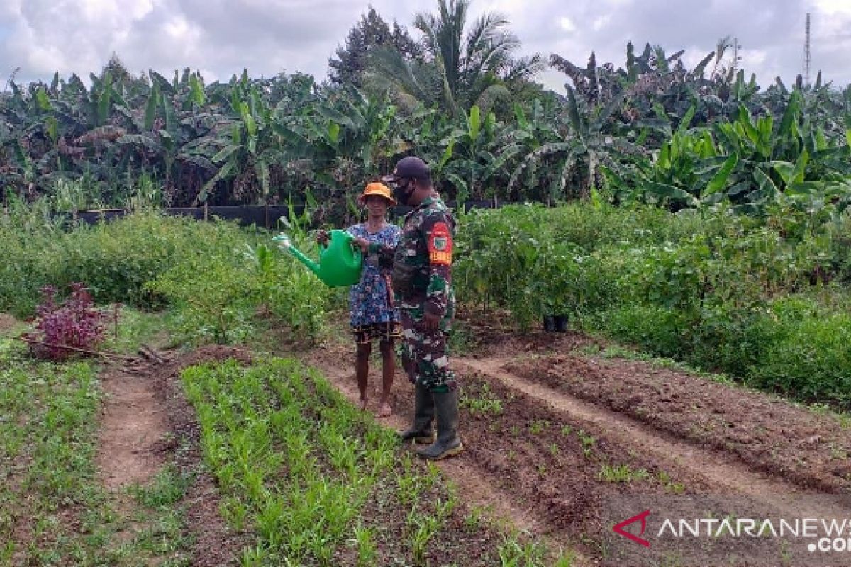 Aparat TNI bantu warga Asiki Papua berkebun