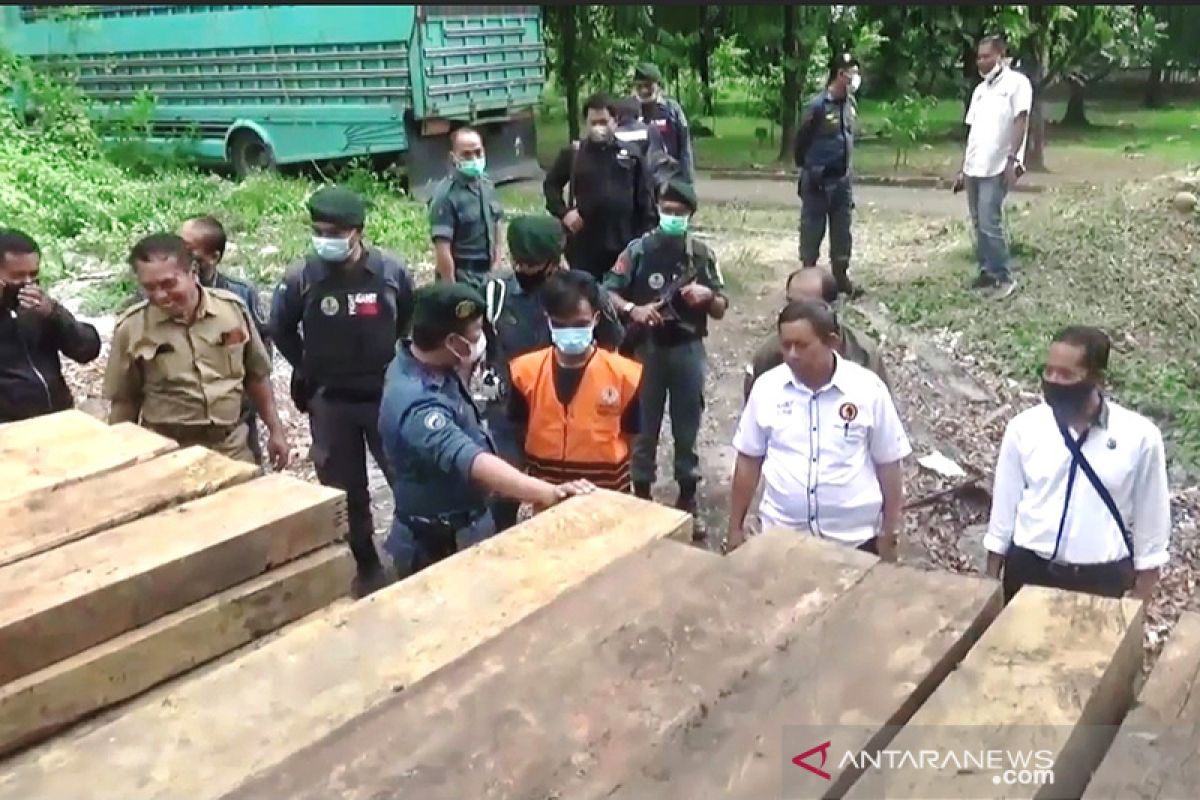 Tersangka penyelundupan kayu ilegal di Sulteng bertambah satu orang