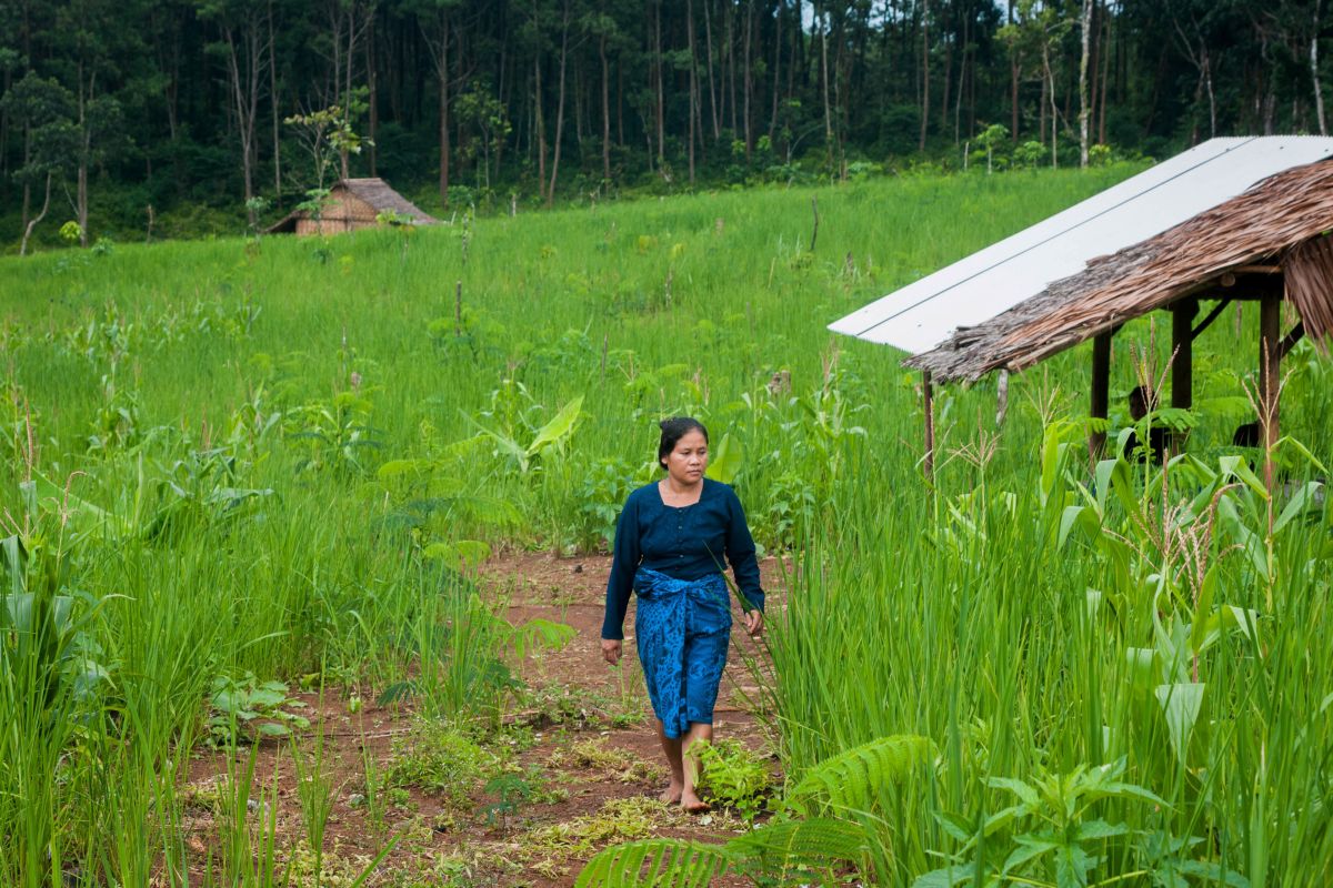 Baduy women farm for tradition sake, loyalty
