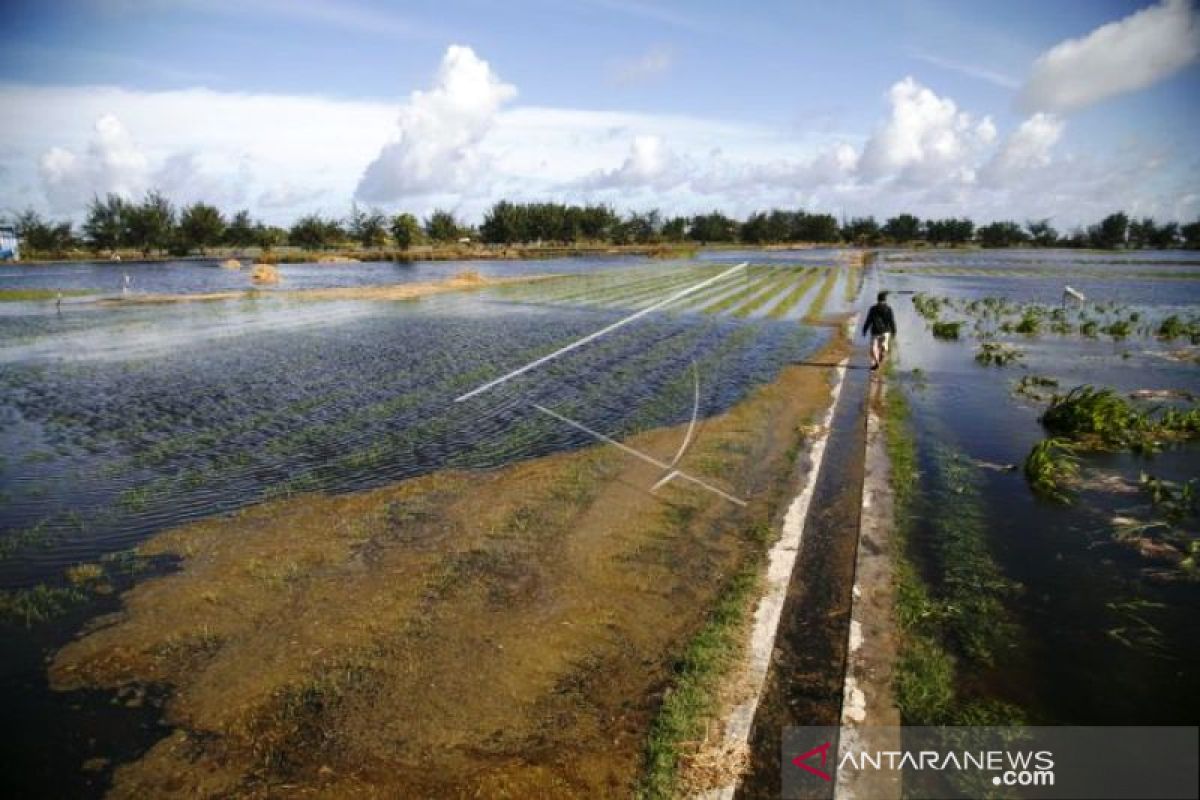 Sungai kewenangan provinsi krisis, area pertanian warga Pesisir Selatan terancam