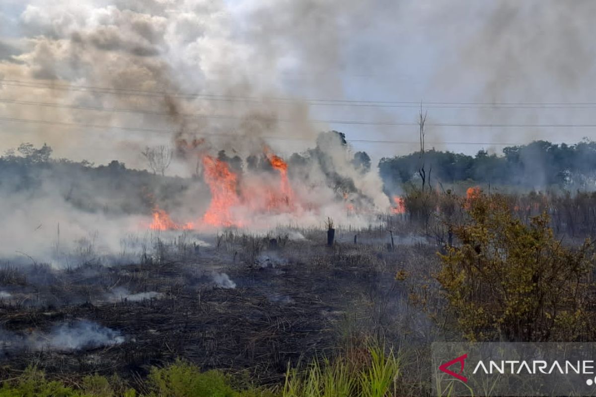 Kebakaran landa empat hektare lahan kosong di Muarojambi