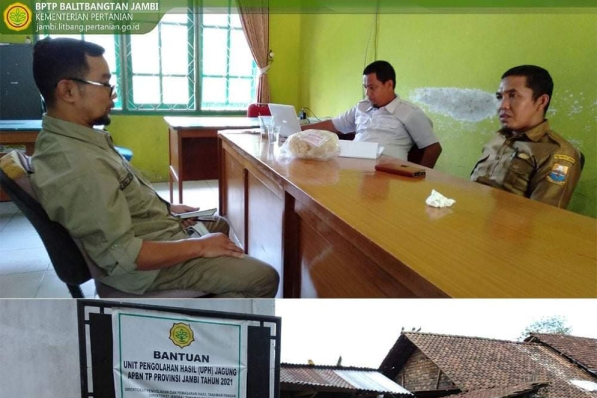 BPTP survey lokasi sumber bahan pakan jagung di Sarolangun.