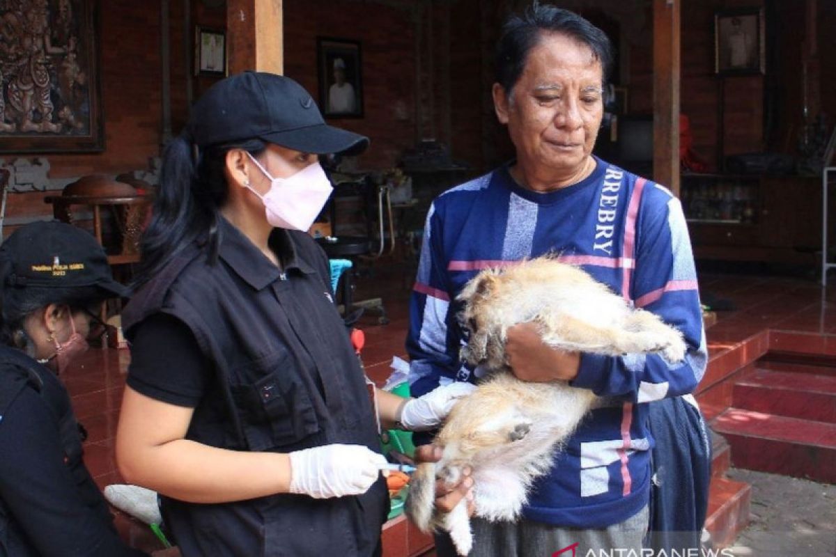 Distan Denpasar genjot vaksinasi bagi hewan penular rabies