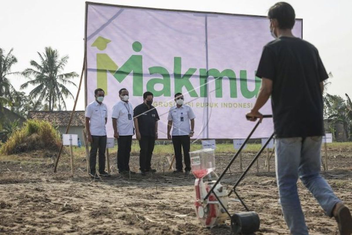 Erick Thohir perintahkan BUMN  pupuk segera garap pasar nonsubsidi