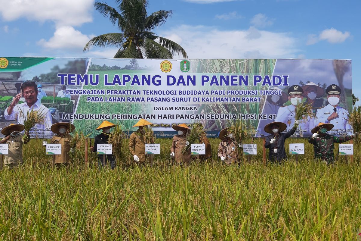 Kalbar komitmen meningkatkan produktivitas padi untuk ketahanan pangan