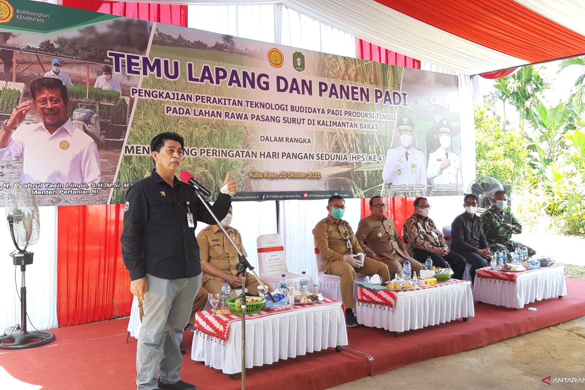 BPTP Kalimantan Barat siap bagikan 40 ton benih padi unggul