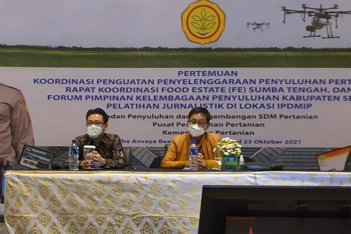 Pertanian tetap kokoh menjadi pilar kekuatan utama negara