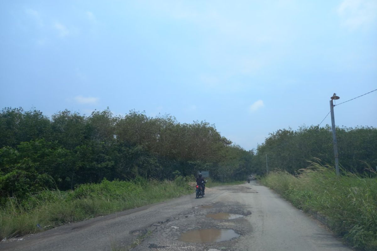 Jalan menuju Sabah Balau rusak, warga minta Pemkab Lampung Selatan segera perbaiki