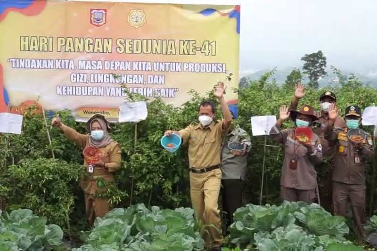 Desa Lamuk di Wonosobo tepat sebagai lahan "food estate"