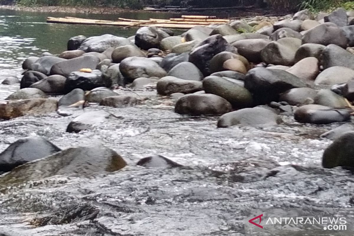 Geopark Meratus Loksado berpotensi hasilkan batu berbentuk atau Suiseki