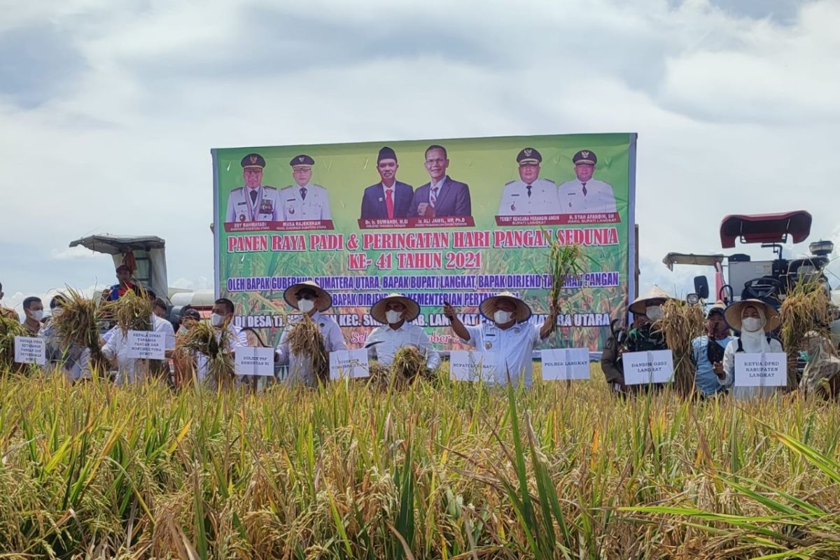 Gubsu, Bupati, Dirjen panen raya padi di Sirapit Langkat