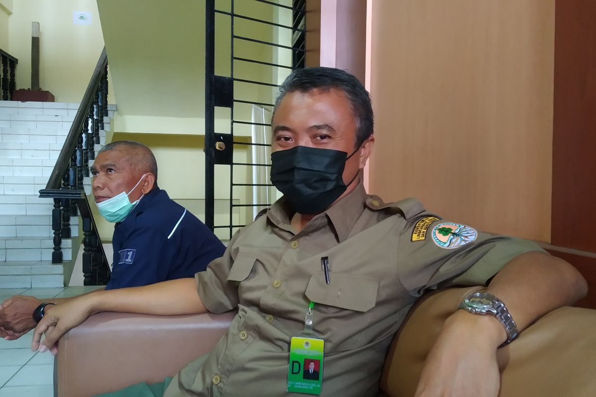 Tim BKSDA segera kembalikan beruang madu yang direhabilitas ke habitatnya