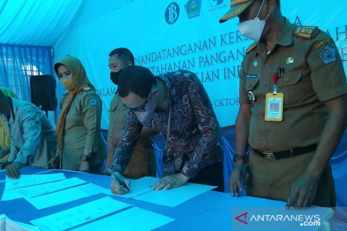 BI Sultra dorong pertanian terintegrasi di kawasan Amohalo Kendari