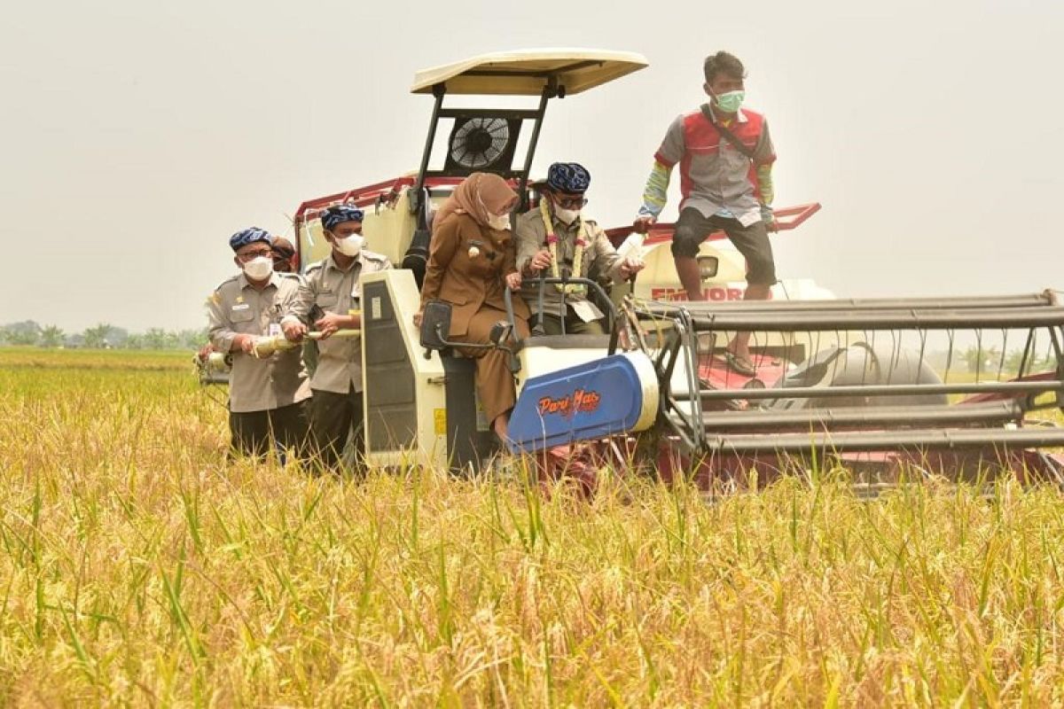 Peringati HPS ke 41, Mentan SYL: Pertanian siap hadapi perubahan iklim