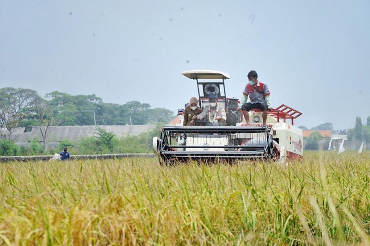 HPS ke 41, FAO apresiasi capaian pembagunan pertanian di masa COVID-19