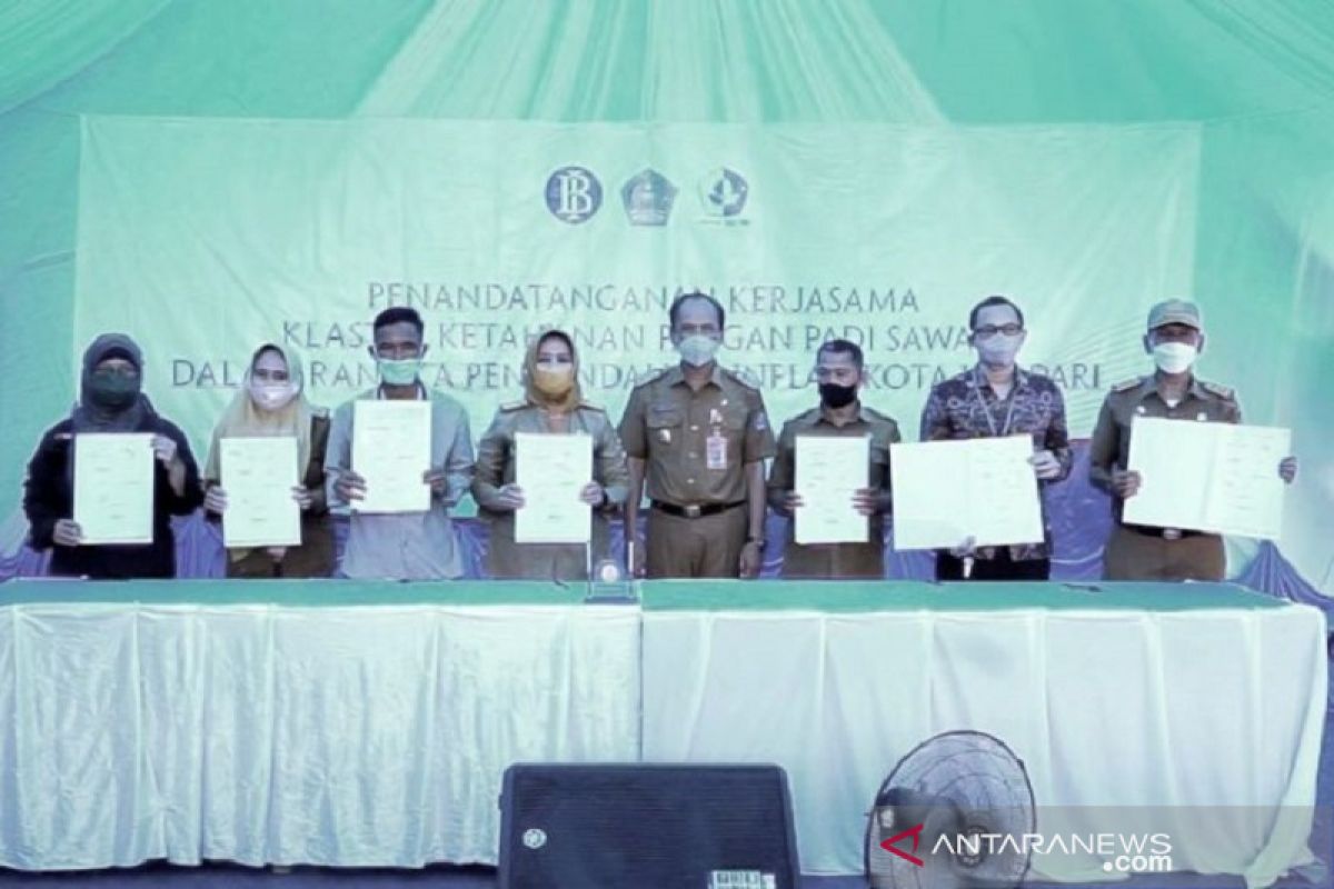 Pemkot Kendari mendorong kawasan persawahan Amohalo jadi lumbung pangan