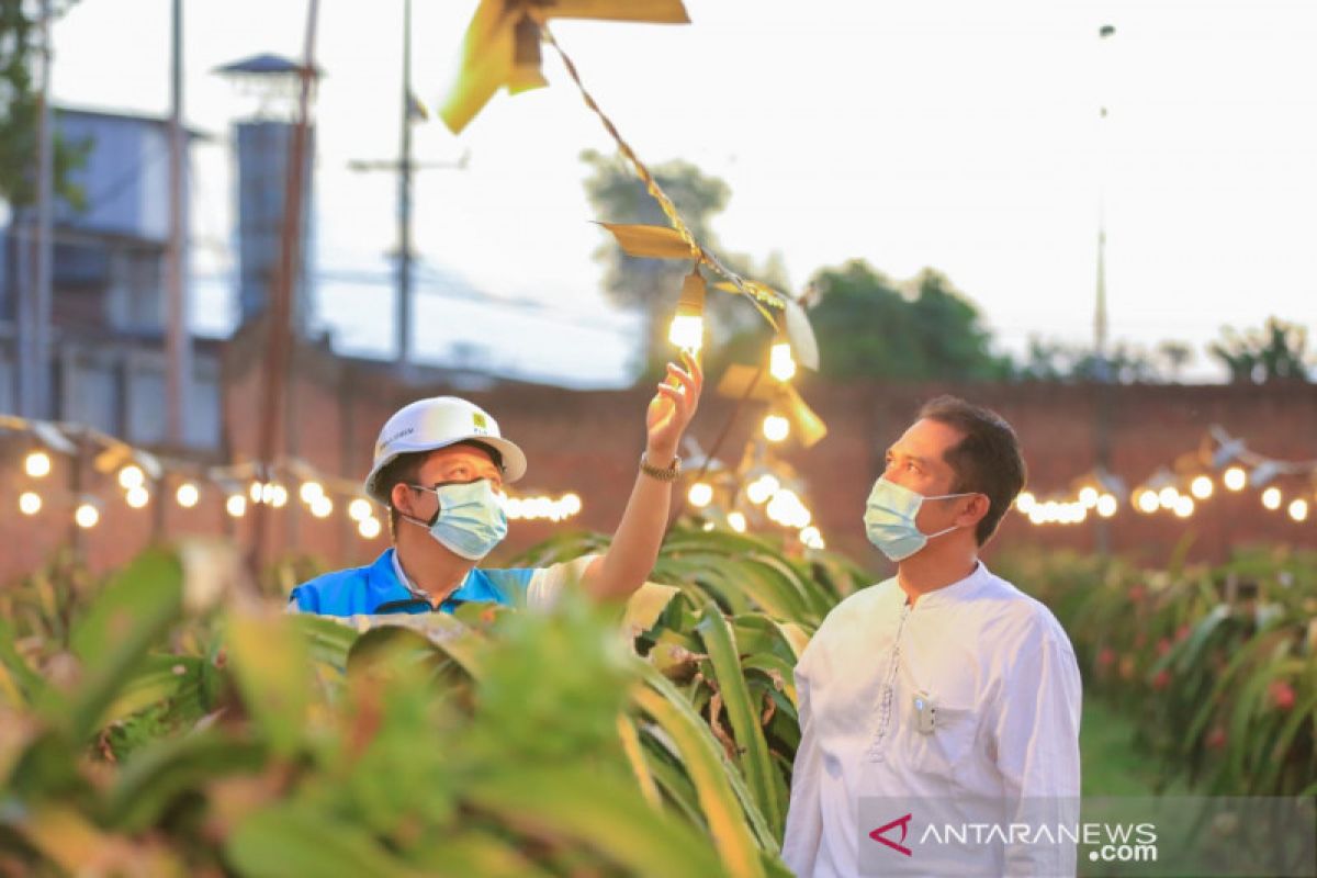 PLN catat 148 ribu petani gabung program listrik agrikultur