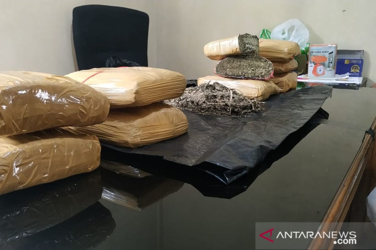 Polisi amankan 9,5 kilogram ganja dari tangan satpam dan dua residivis di Bukittinggi