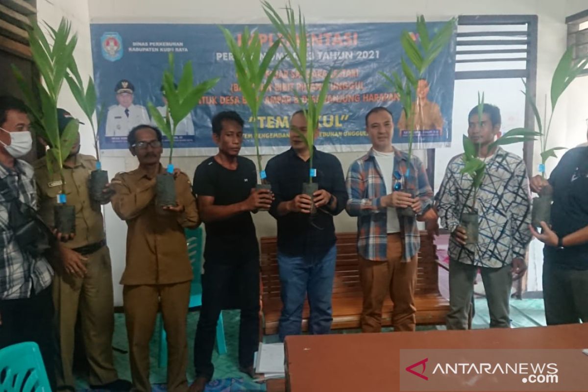 Dua desa di Batu Ampar pelopor pinang unggul