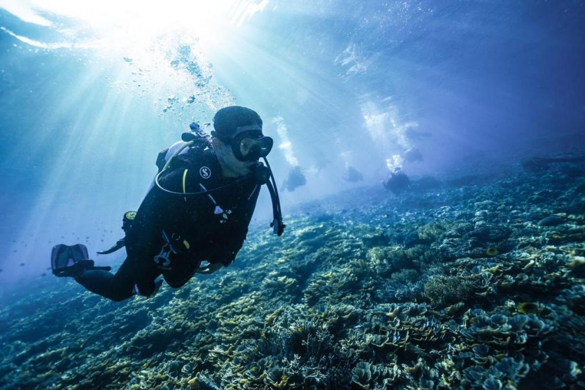 Sandi sebut potensi wisata bahari Raja Ampat sangat besar