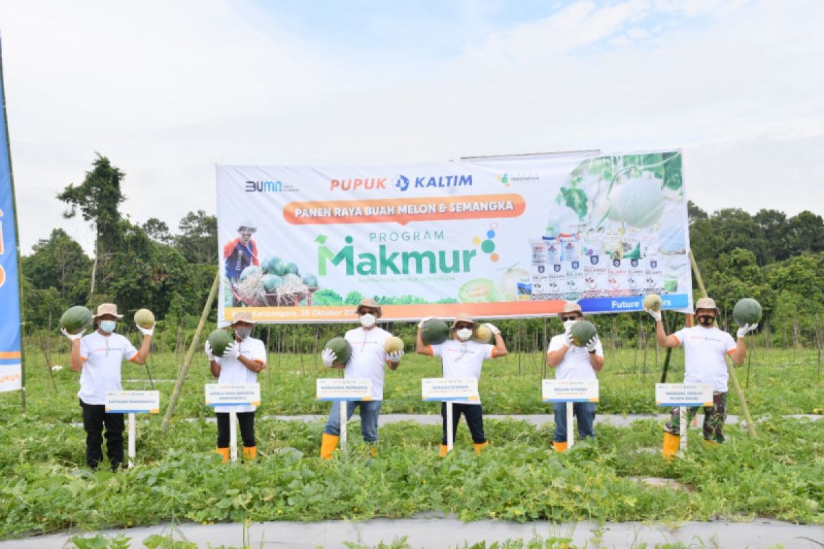 Program Makmur tingkatkan produktivitas melon-semangka 120 persen